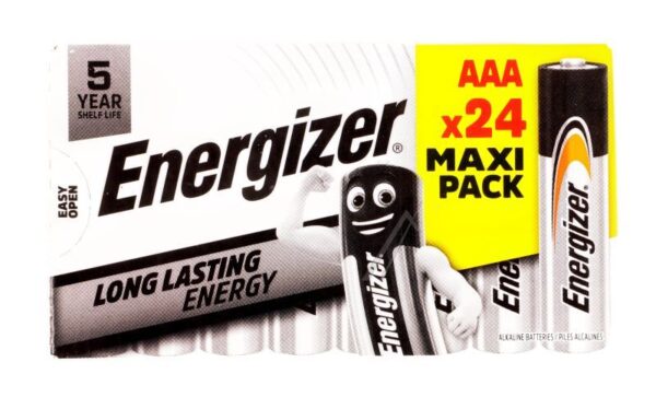 LR03 E304400600 EVERYDAY MICRO (AAA) DP 24 STÜCK