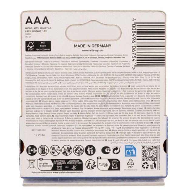 LR03 4103101761 1,5V ALKALINE MICRO VARTA 10ER KARTON LONGLIFE