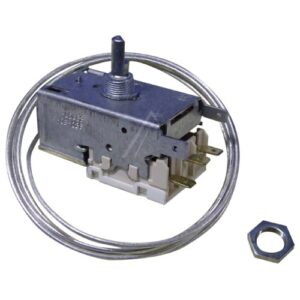 4502011100 C00864891 TERMOSTAT