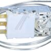4502011100 C00864891 TERMOSTAT
