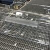 2647017017 GEFRIERSCHRANKSCHUBLADE,  TRANSPARENT - 402X157MM