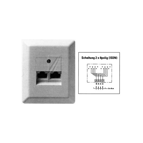 2X8(8) AP MODULAR-ANSCHLUSSDOSE
